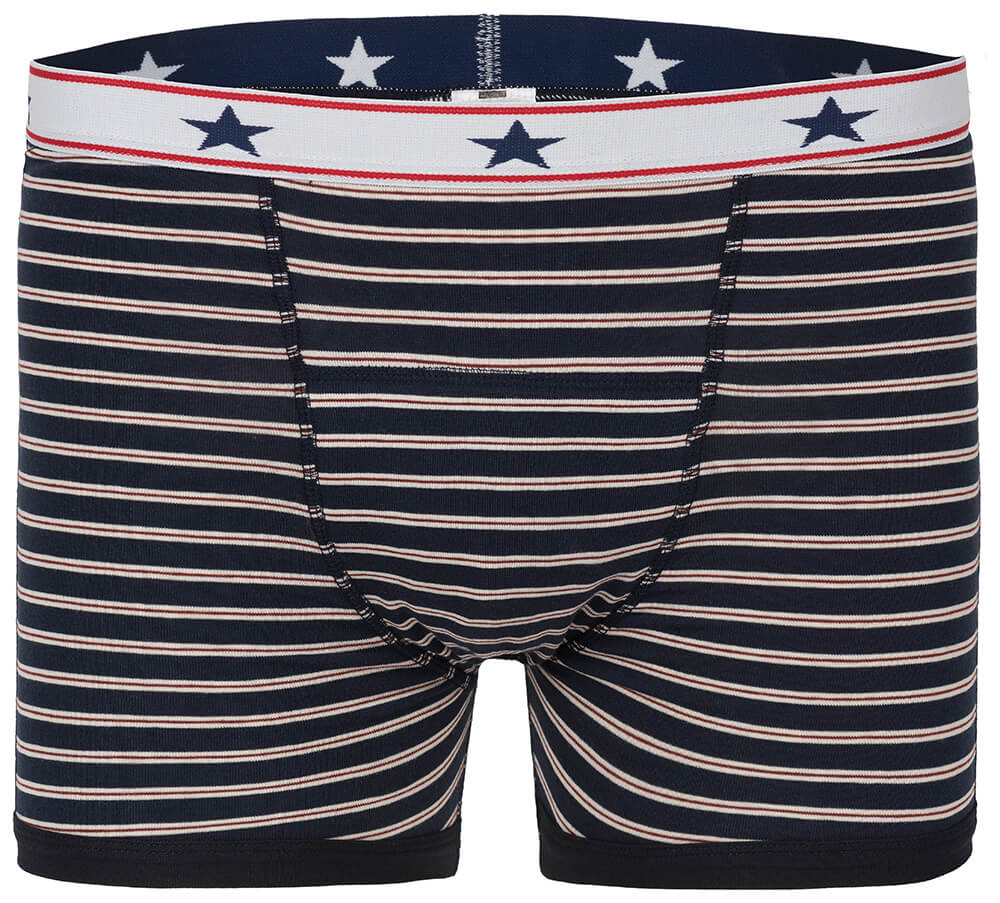 Incontinentie Boxershort Heren - Gestreept-Extra Large